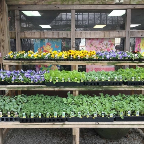 Check Out Our Gallery Walnut Ridge Nursery and Garden Center