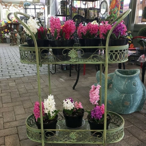 Check Out Our Gallery Walnut Ridge Nursery and Garden Center