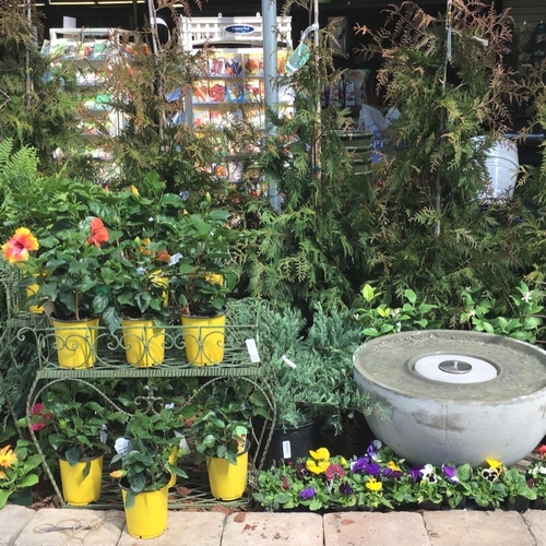 Check Out Our Gallery Walnut Ridge Nursery and Garden Center