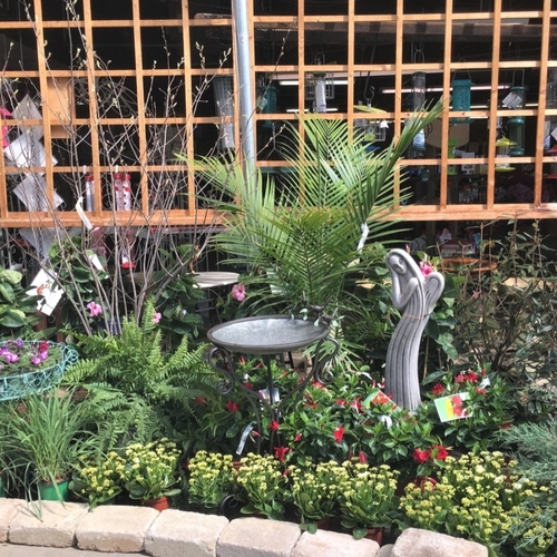 Walnut Ridge Services Walnut Ridge Nursery and Garden Center