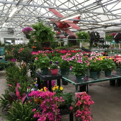 Check Out Our Gallery Walnut Ridge Nursery and Garden Center