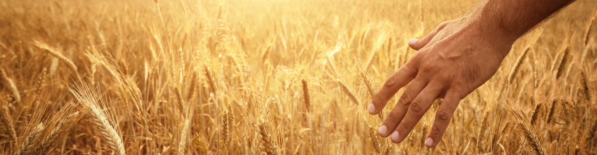 Rockbridge Farmer's Coop Providing Expert Products, Service, and