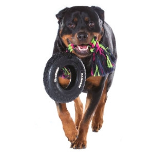 mammoth tire biter large