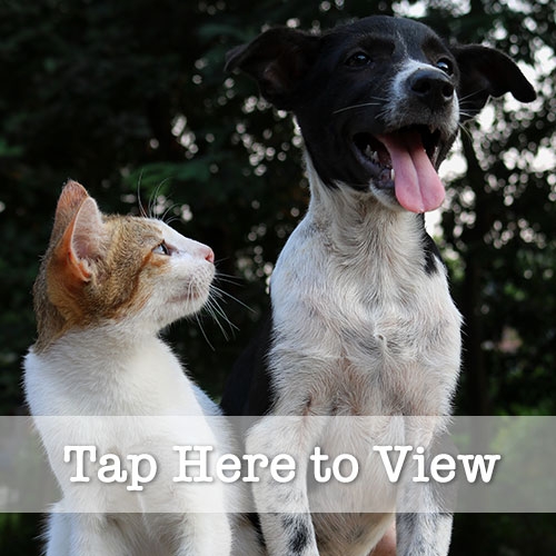 Talmage Farm Agway, Riverhead store, home brewing equipment LI