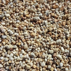 Jersey Yellow Stone | Garoppo's Feed 