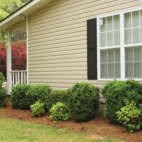 Exterior Siding, Vinyl Siding, Wood Siding Bayview Olympia, Olympia