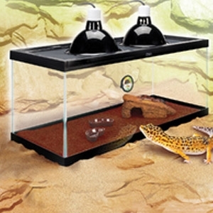 20 gallon leopard gecko kit