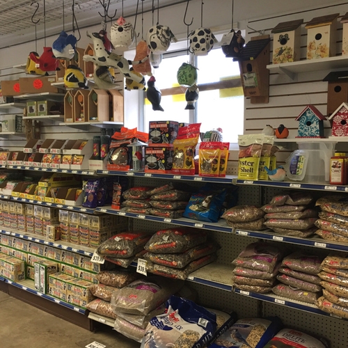 Colts Neck Shrubs for Sale, Lawn & Garden Supplies, Cement Fountains