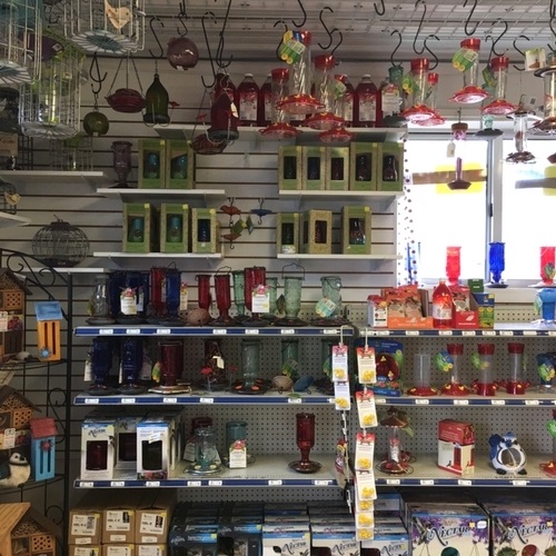 Colts Neck Shrubs for Sale, Lawn & Garden Supplies, Cement Fountains