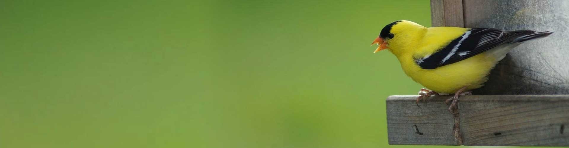 Middlebury Agway Your Leading Lawn, Garden, Farm & Pet Supply Store