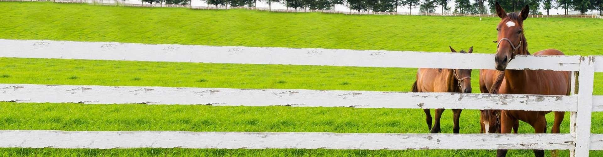 Middlebury Agway Your Leading Lawn, Garden, Farm & Pet Supply Store