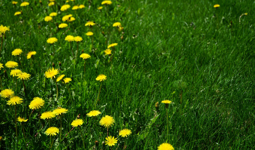 Blog Western Ohio True Value Hardware Minster, OH St. Henry, OH