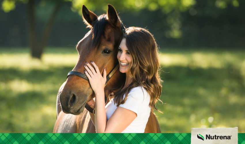 Mark's Fleet Supply, True Value Rental, Perham Rental, Rentals, Rental