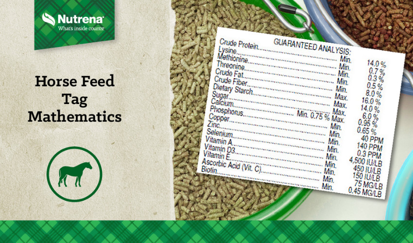 Nutrena Feed, Purina Feed, Horse Feed, Chicken Feed, Cow Feed, Modern