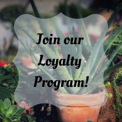 Coupons, Special Offers, Savings | Stony Brook Gardens | Pennington, NJ