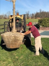 Galleries | Stony Brook Gardens | Pennington, NJ