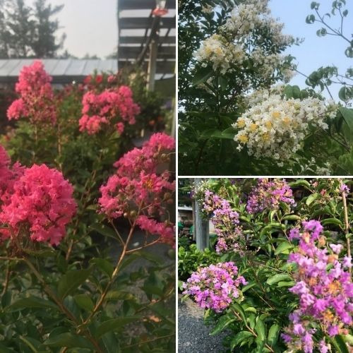 Home Stony Brook Gardens Pennington, NJ