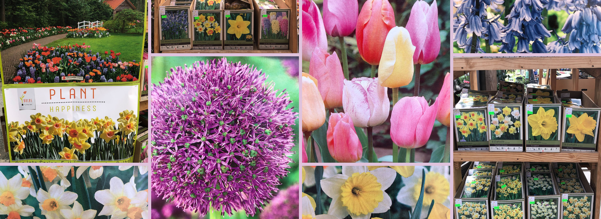 Home Stony Brook Gardens Pennington, NJ