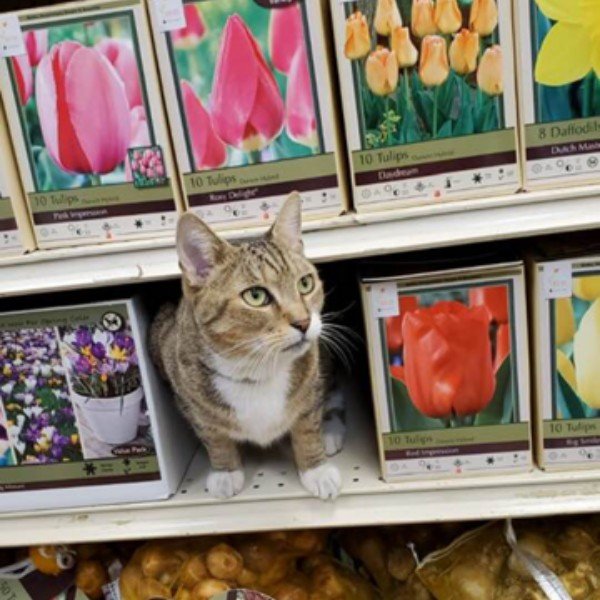 Meet Our Staff Bowen's Farm Supply, Inc. Annapolis, MD