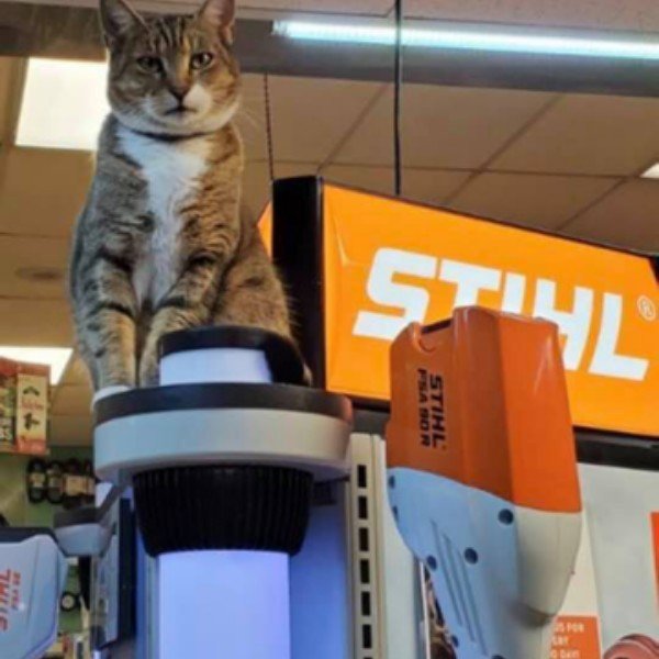 Meet Our Staff Bowen's Farm Supply, Inc. Annapolis, MD