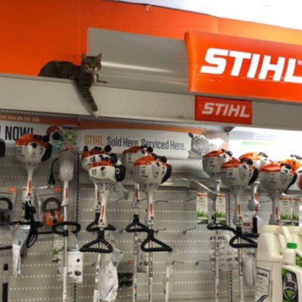 Meet Our Staff Bowen's Farm Supply, Inc. Annapolis, MD