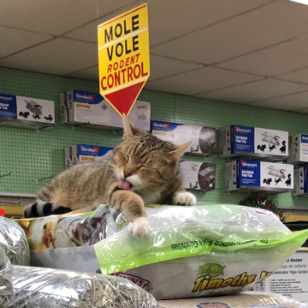 Meet Our Staff Bowen's Farm Supply, Inc. Annapolis, MD