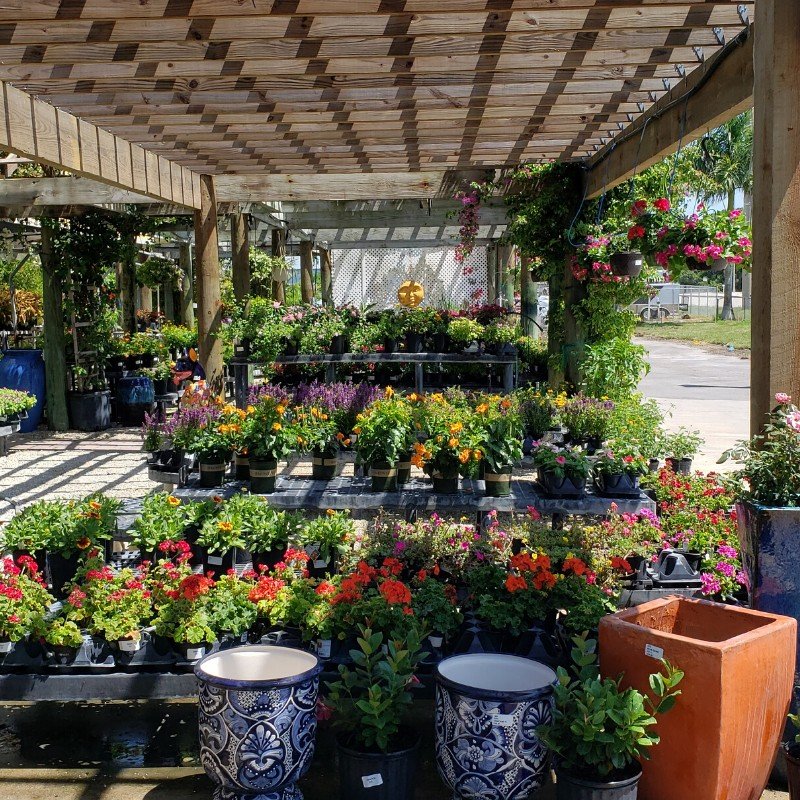 Gallery Plants & Flowers, Pottery, & More! A&G Lawn and Garden