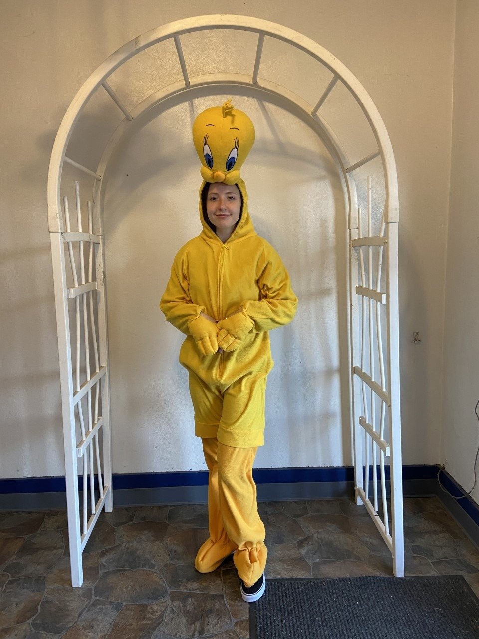 Product Catalog Taylor Rental of Binghamton