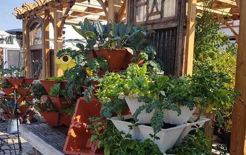 Rail City Garden Center, Reno Sparks Nursery, Rail City Landscape, Reno