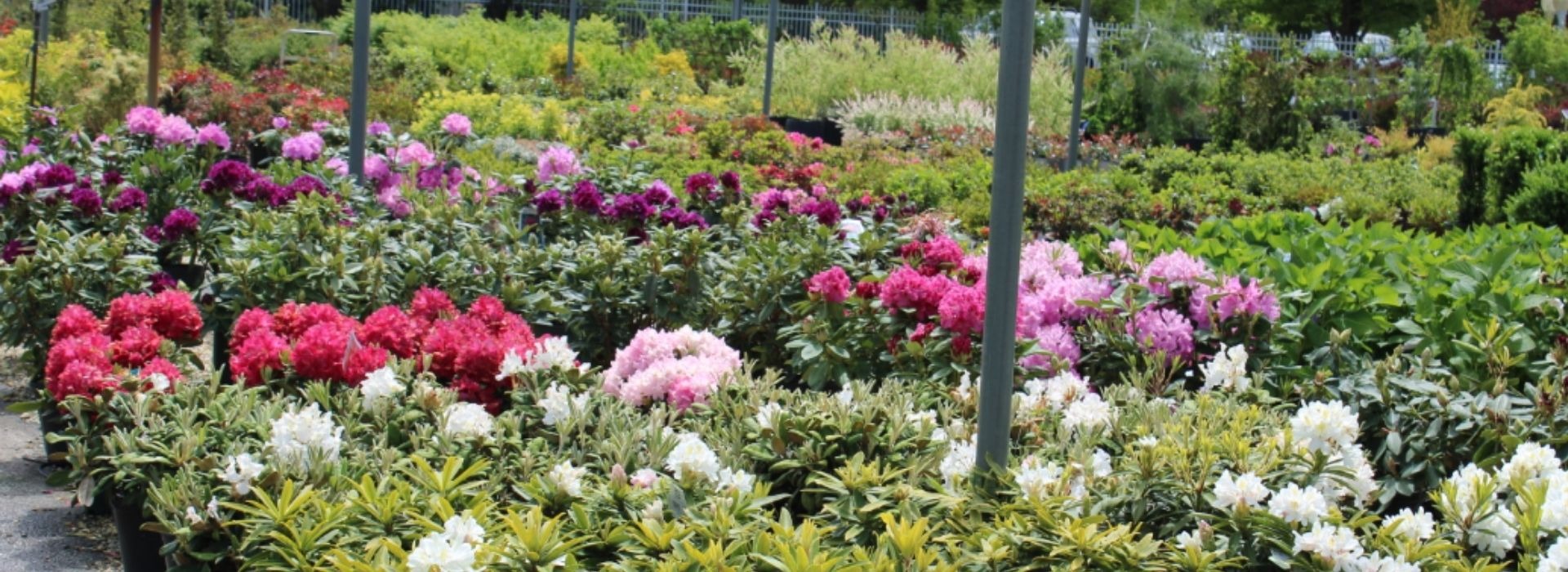 Bobs Garden Center, Garden Center South Jersey, Plant Nursery South
