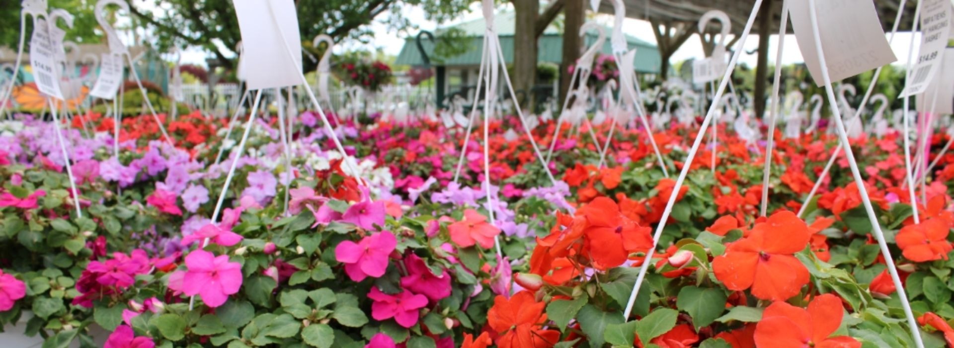 Bobs Garden Center, Garden Center South Jersey, Plant Nursery South