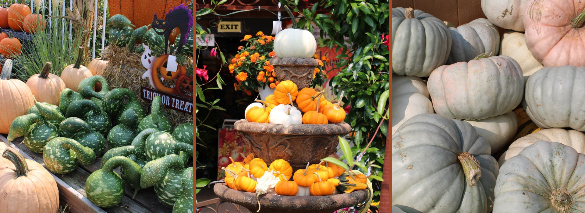 Bobs Garden Center, Garden Center South Jersey, Plant Nursery South