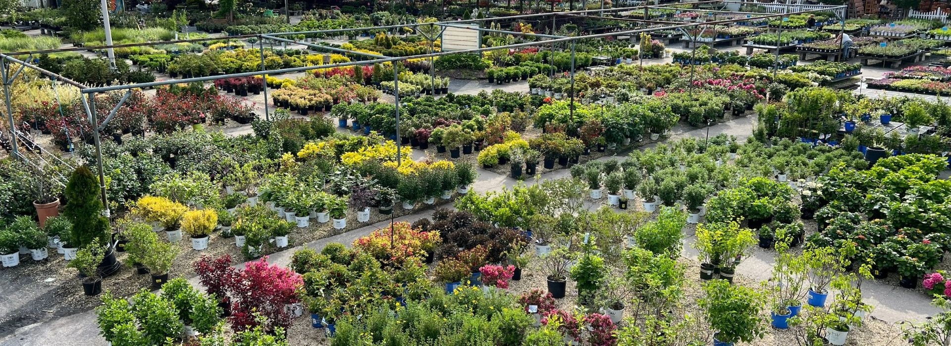 Bobs Garden Center, Garden Center South Jersey, Plant Nursery South