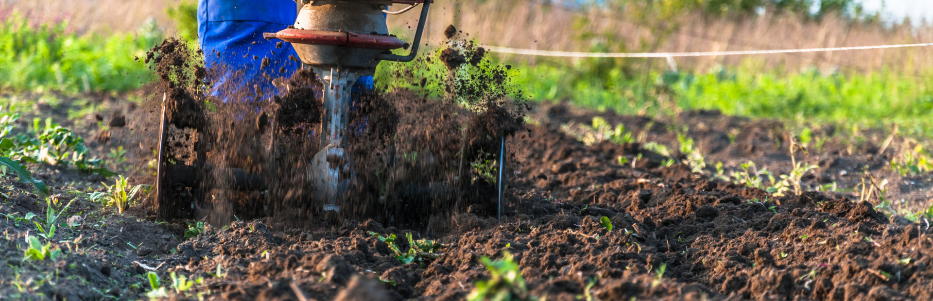 Springfield IL, Bounce House Rentals, Inflatable Rentals, Jump House