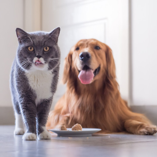 Party Rentals, Heavier Construction Equipment, Flowers, Annuals