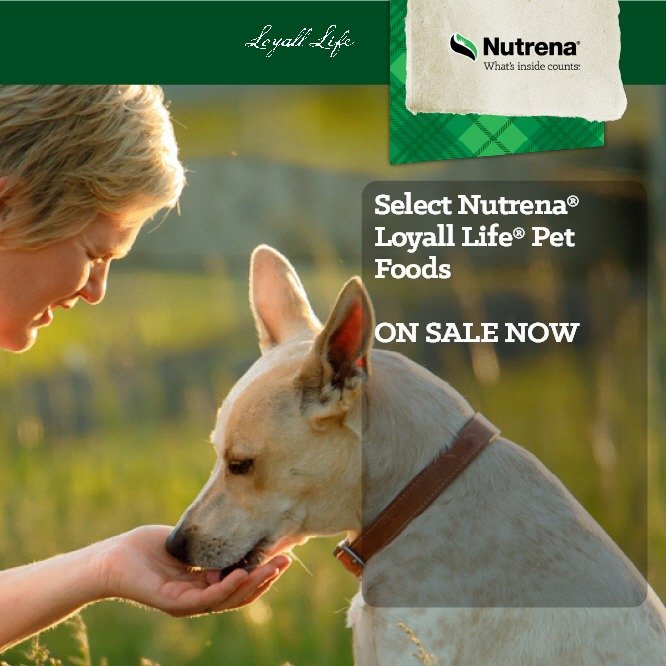 Nutrena® Stock and Stable® 12 Sweet Horse Feed Hall's Feed & Seed