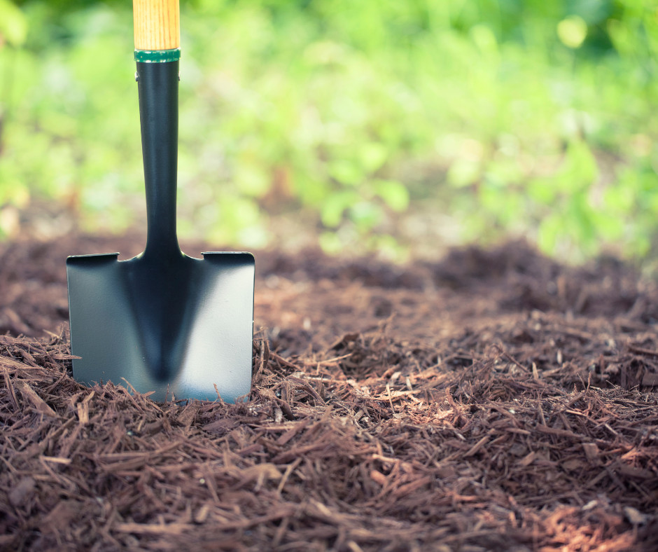 Hanoverdale Agway Your Lawn, Garden, Pet, Wild Bird and Feed Store Hanoverdale Agway