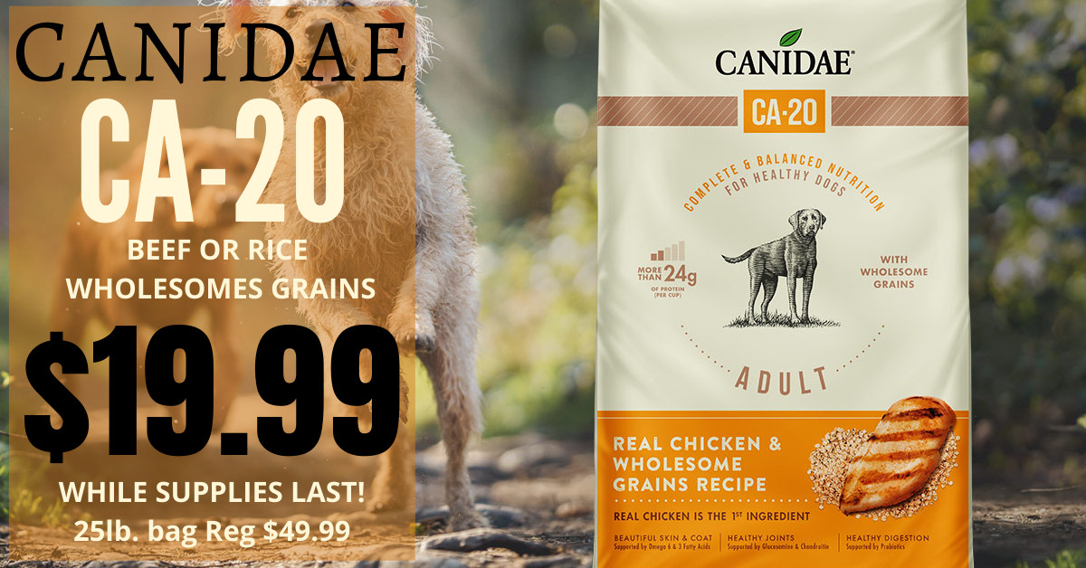 Feed Store Glendale AZ, Tack Supplies Glendale AZ, Farm & Ranch Store