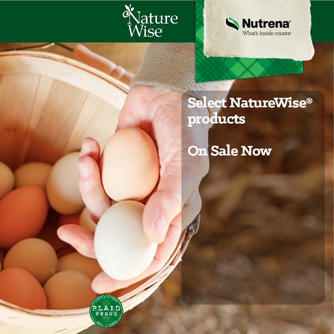 Rosedale Mills America's Country Store Rosedale Mills Pennington, NJ