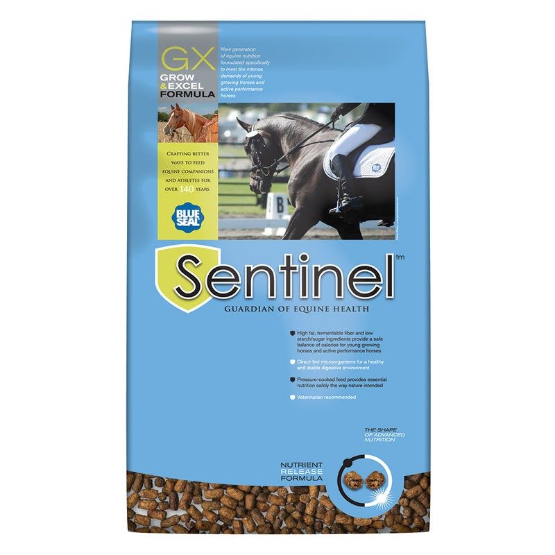 Sentinel Grow & Excel GX Horse Feed Knisley's Pet & Farm Center