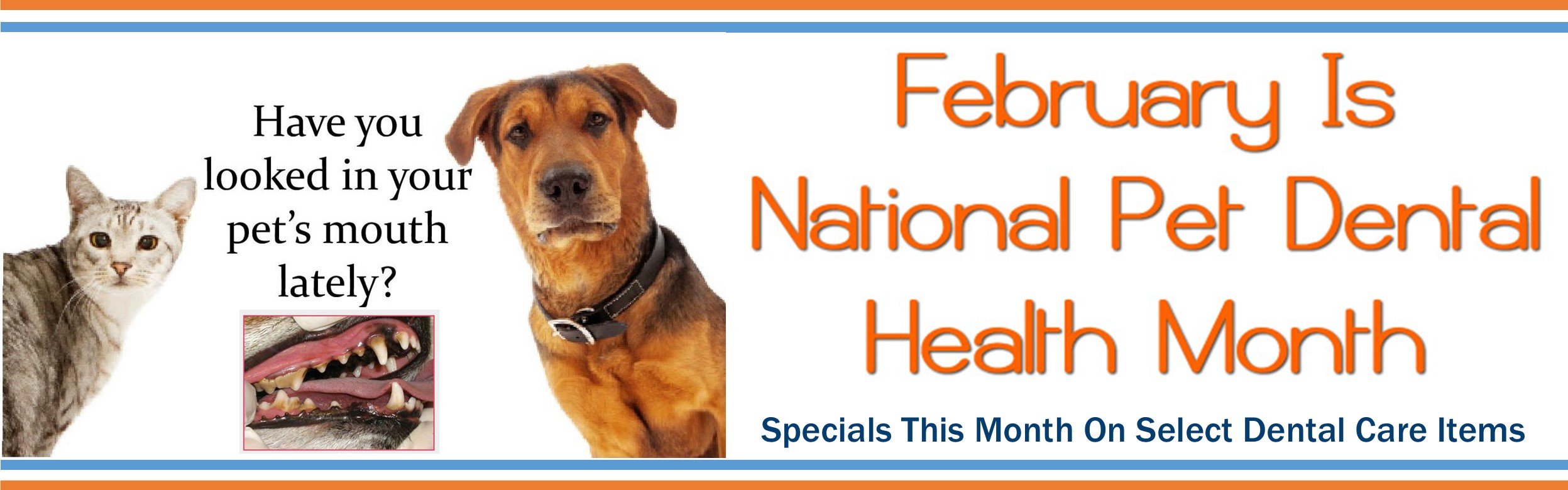 Pet Food, Pet Supplies, Reptile and Aquatic Supplies Huron Pet Supply