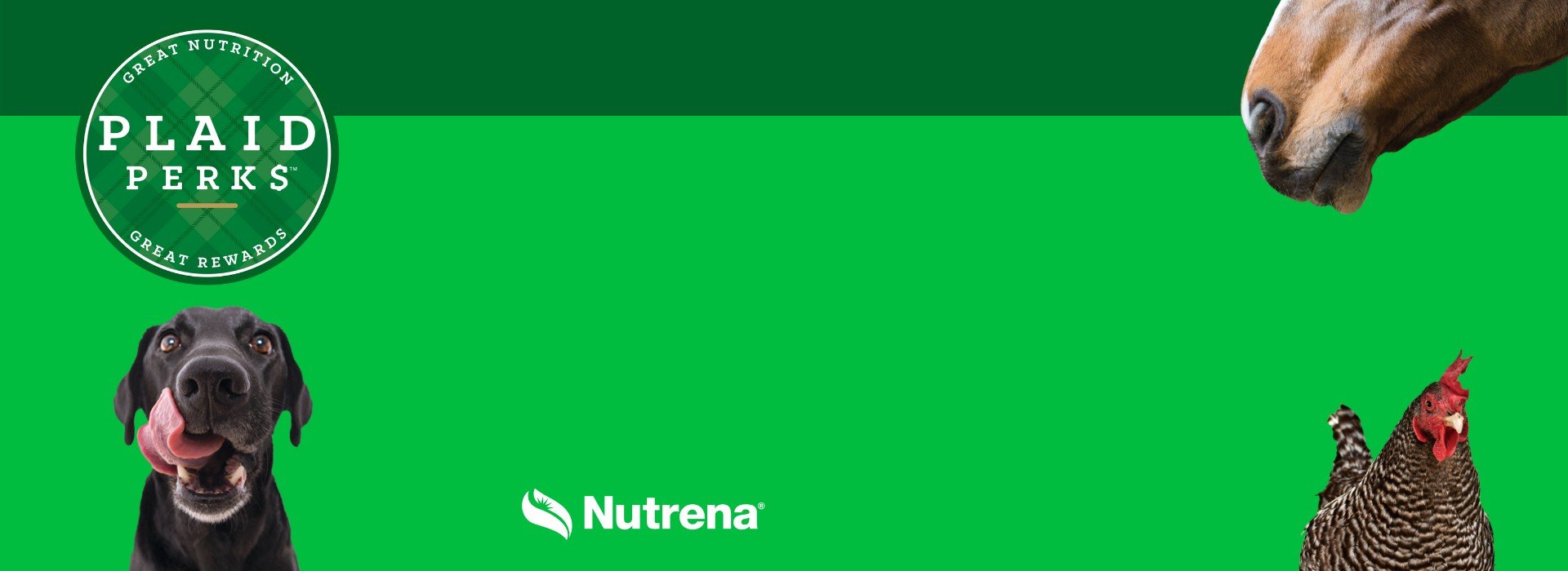 To Powell Feed, Your Local Feed And Farm Store Since 1942