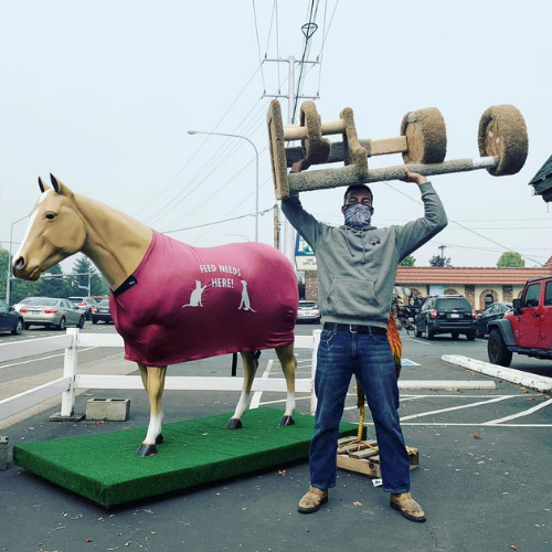 Services, Horse Blanket Cleaning, Horse Blanket Repair, Curbside Pickup