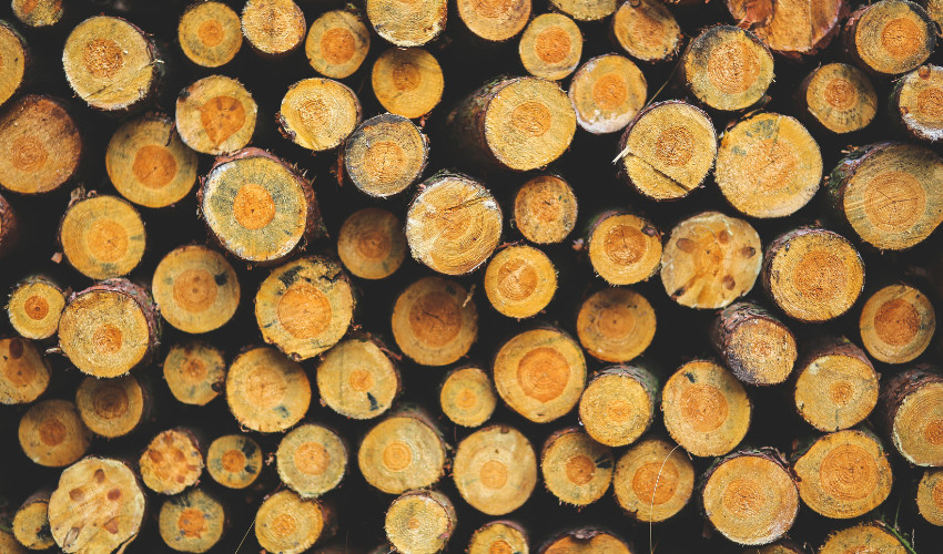 Chicagoland Lumber Yard Evanston Lumber