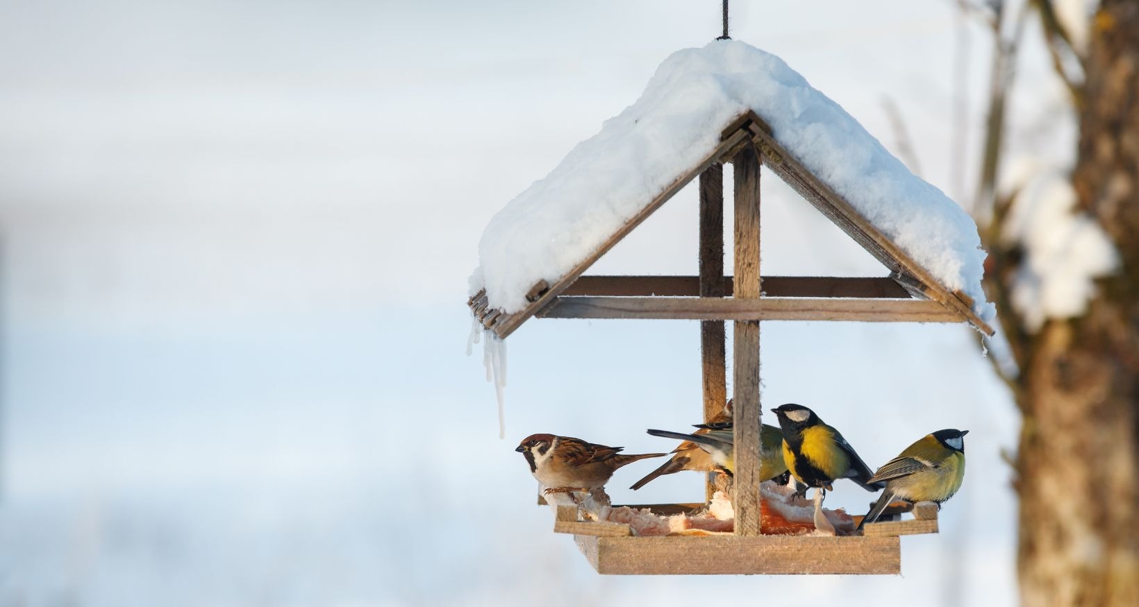 Lenawee County Garden Center, Adrian Flower Shop, Landscaping Adrian MI
