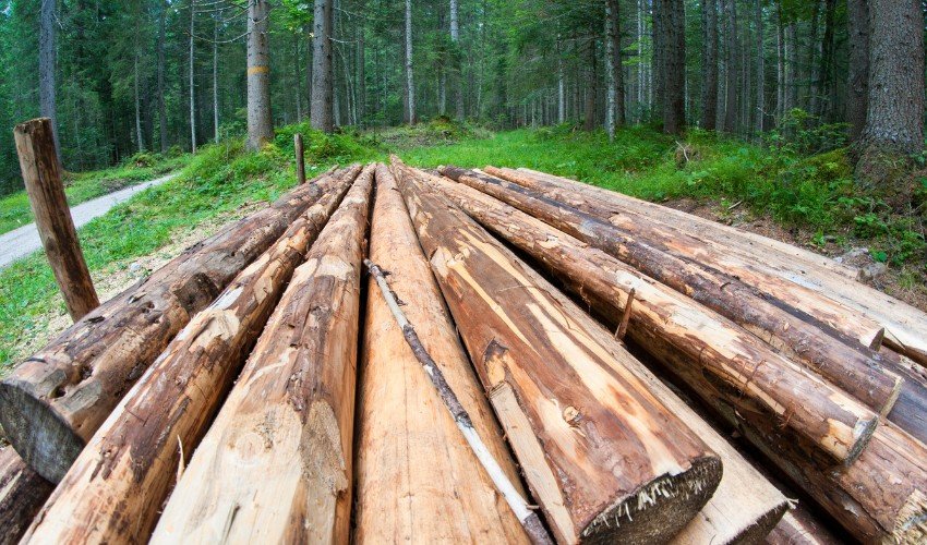 Rising lumber prices can stunt housing market growth Withers Lumber