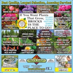 Available at Brock Farms | Brock Farms