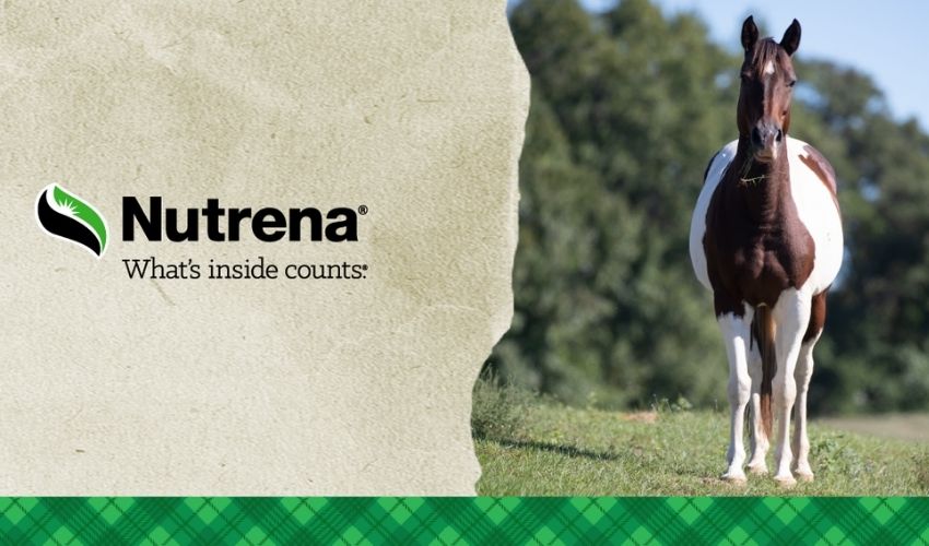 Home Bowen's Farm Supply, Inc. Annapolis, MD