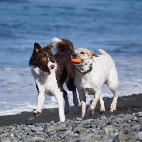 Departments | Pet Supplies, Farm Supplies, Western Wear, Feed, Poultry