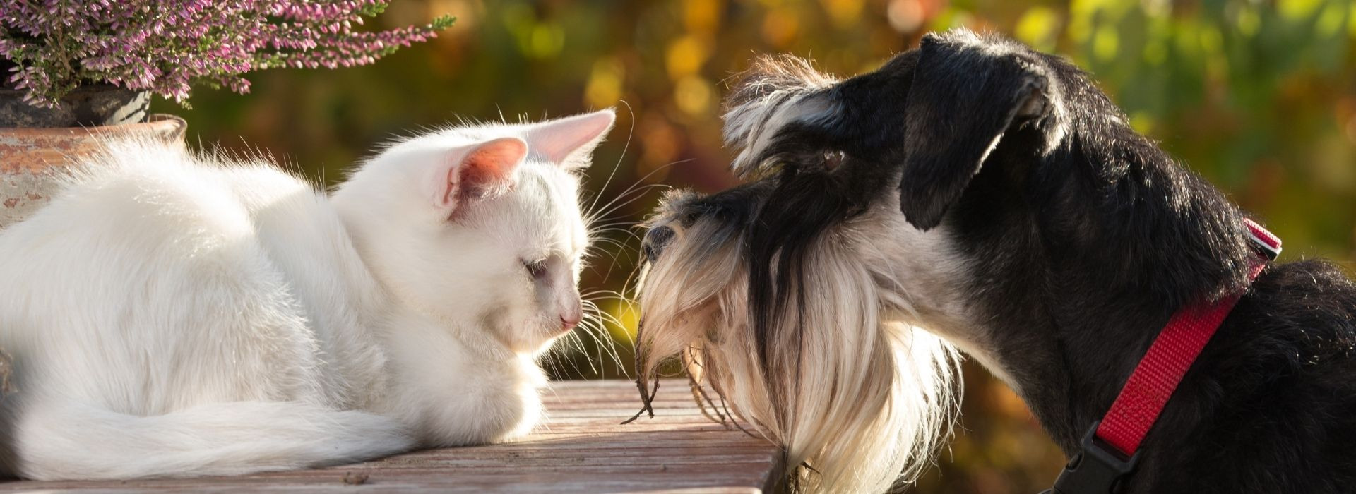 Your Family Owned Pet Garden Farm And Home Center Mechanicsburg 